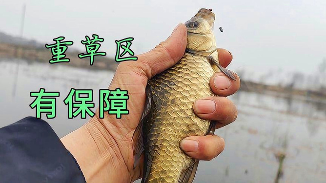 中高檔鯽魚竿，品質(zhì)卓越，技術(shù)精湛